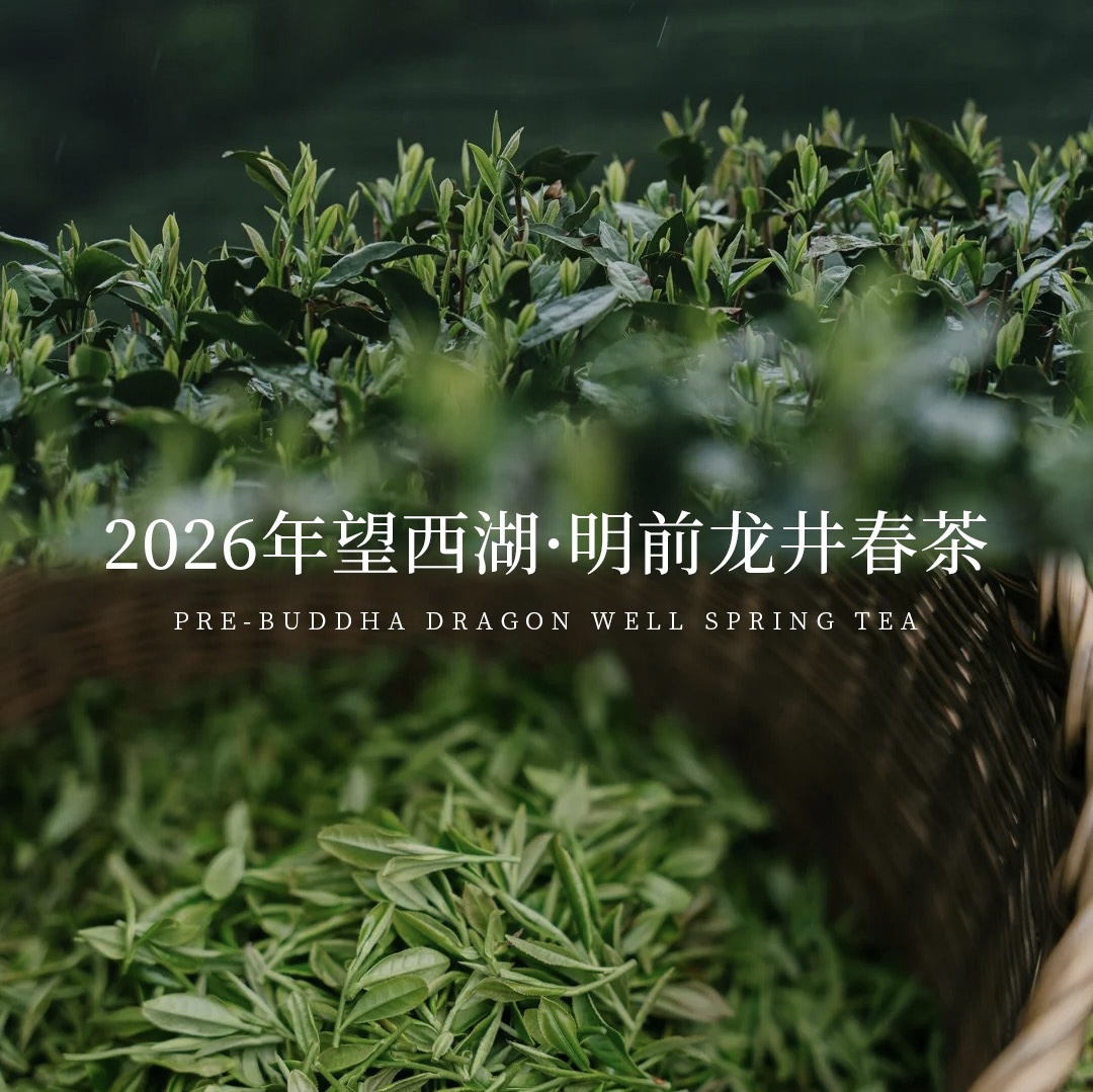 2103 2026 First Batch Harvest ShiFeng LongJing Tea