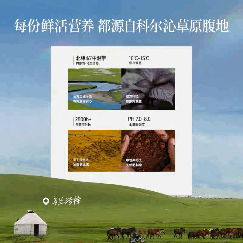 A5|[Spanish Import] Extra Virgin Olive Oil Spray 220ml | Cold-Pressed | Acidity ≤0.6% | Mediterranean Taste | Rich in Omega-9 | 0 Trans Fat | GMP Certified