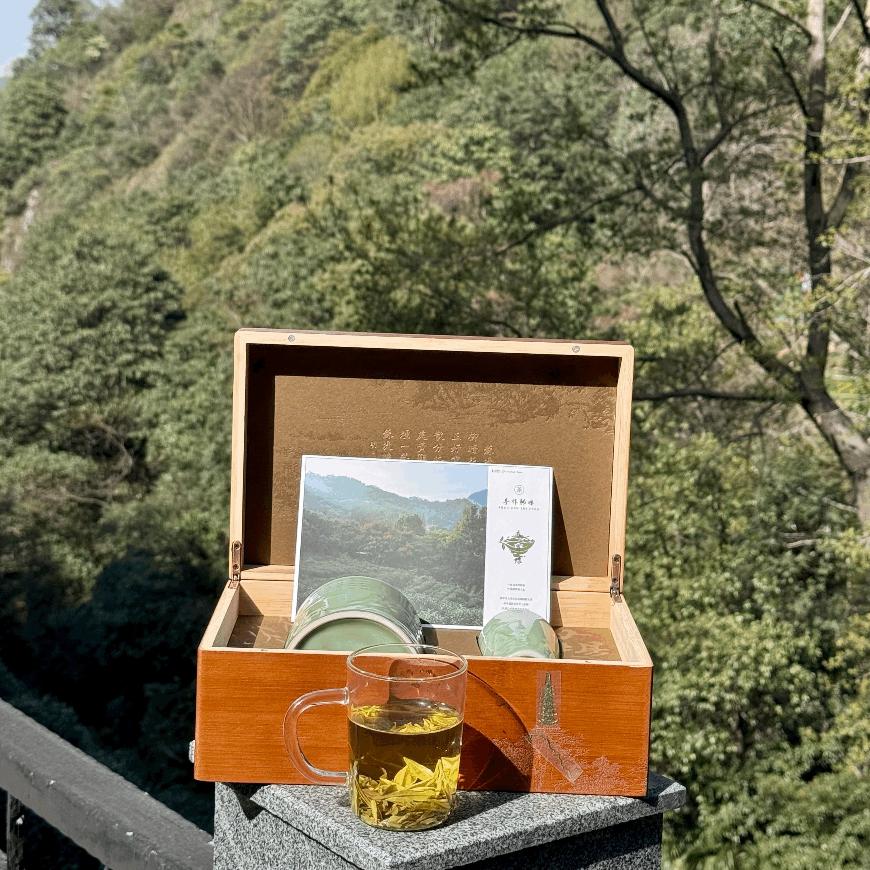 MUST|[19th Mar 2026 First Batch Harvest] [BEST QUALITY] 2026精品手工头采狮峰龙井|Finest Hand Crafted Lion Mountaion Long Jing Tea (50g)- Gift Box