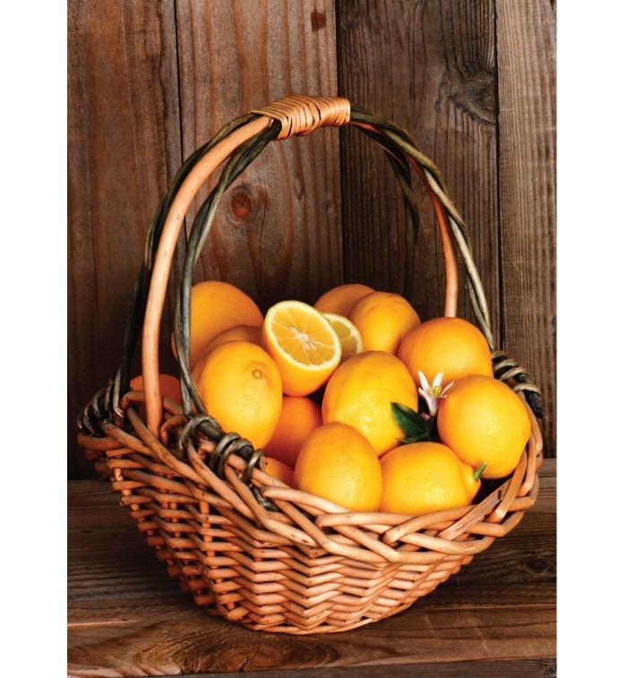 Omessence Orange Sweet Pure Essential Oil 15ml