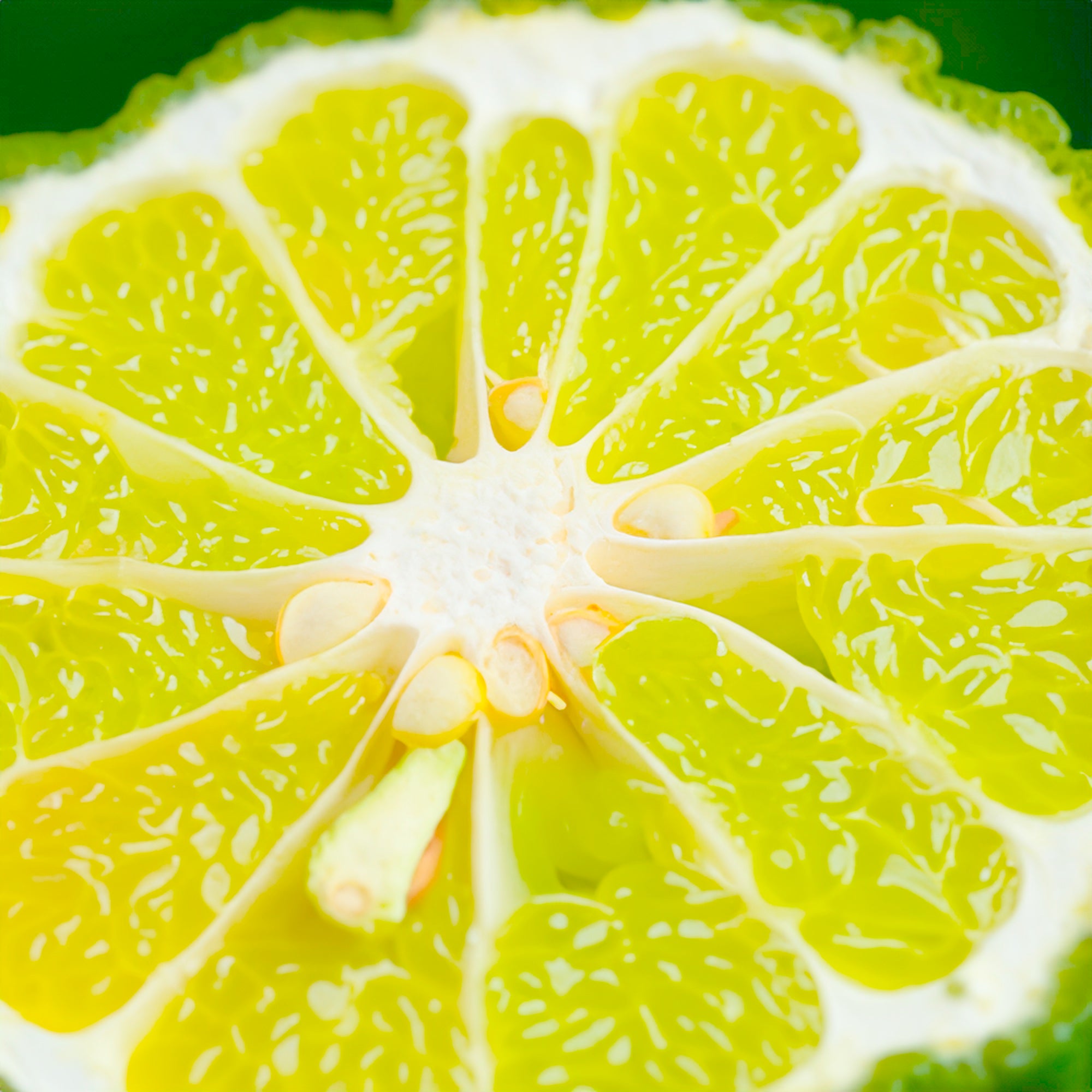 Omessence Bergamot Calabrian Pure Essential Oil 15ml