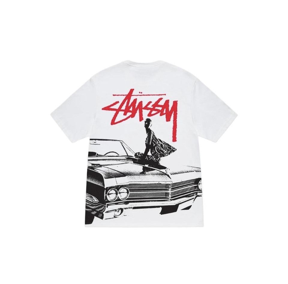 ステューシー Smooth Stock Pigment Dyed Tシャツ  NT   10色兼用 男女兼用 レディース メンズ