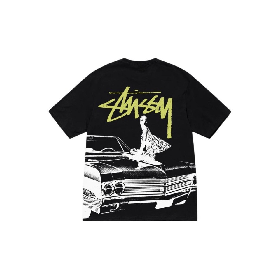 ステューシー Smooth Stock Pigment Dyed Tシャツ  NT   10色兼用 男女兼用 レディース メンズ