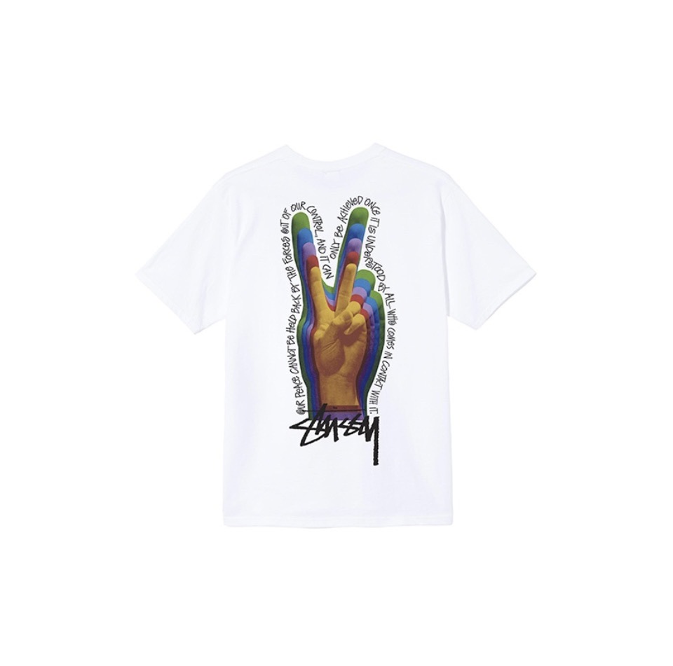 ステューシー Tシャツ 半袖 Graffiti LCB Relaxed 10色兼用 男女兼用 レディース メンズ