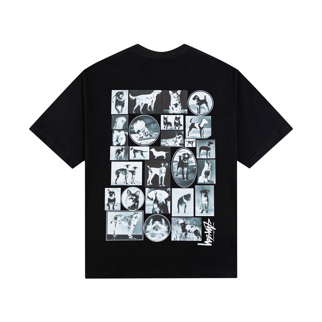 ステューシー Club Crown ロゴTシャツ  WL 10色兼用 男女兼用 レディース メンズ