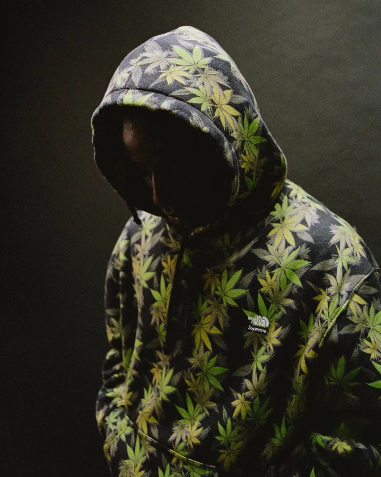 Supreme x The North Face  シュプリーム x ザ・ノース・フェイス  シンプルデザインのフード付きスウェット  2色兼用 男女兼用 レディース メンズ    E562