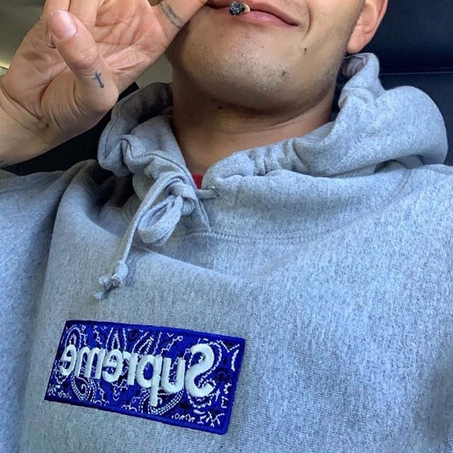 Supreme   シュプリーム   定番スタイルのフード付きスウェットシャツ  2色兼用 男女兼用 レディース メンズ    E541