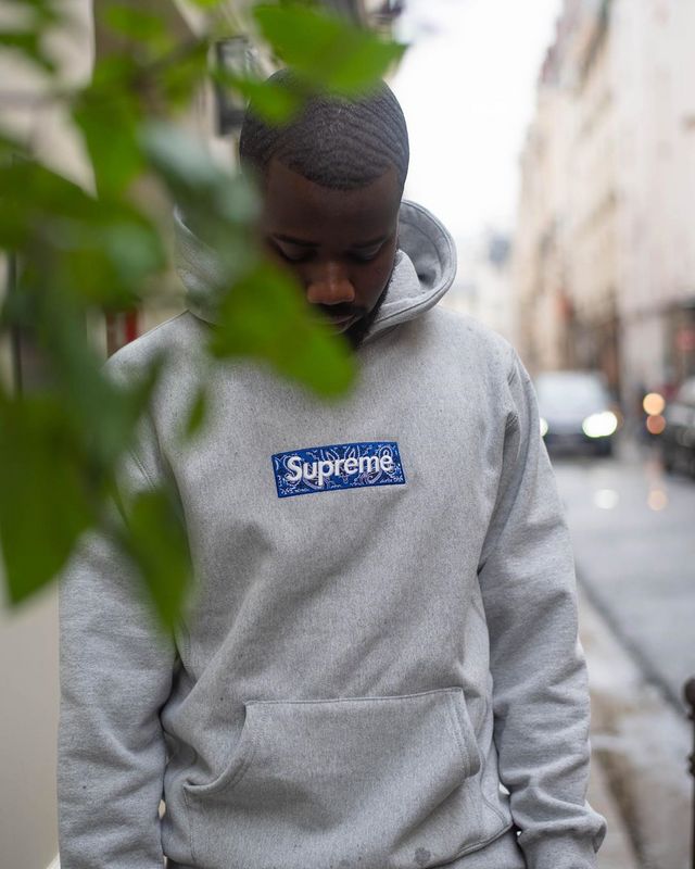 Supreme   シュプリーム   定番スタイルのフード付きスウェットシャツ  2色兼用 男女兼用 レディース メンズ    E541