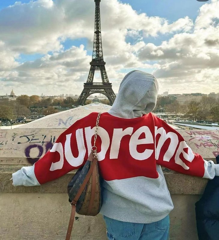 Supreme   シュプリーム   秋冬にぴったりのフード付きパーカー  2色兼用 男女兼用 レディース メンズ    E558