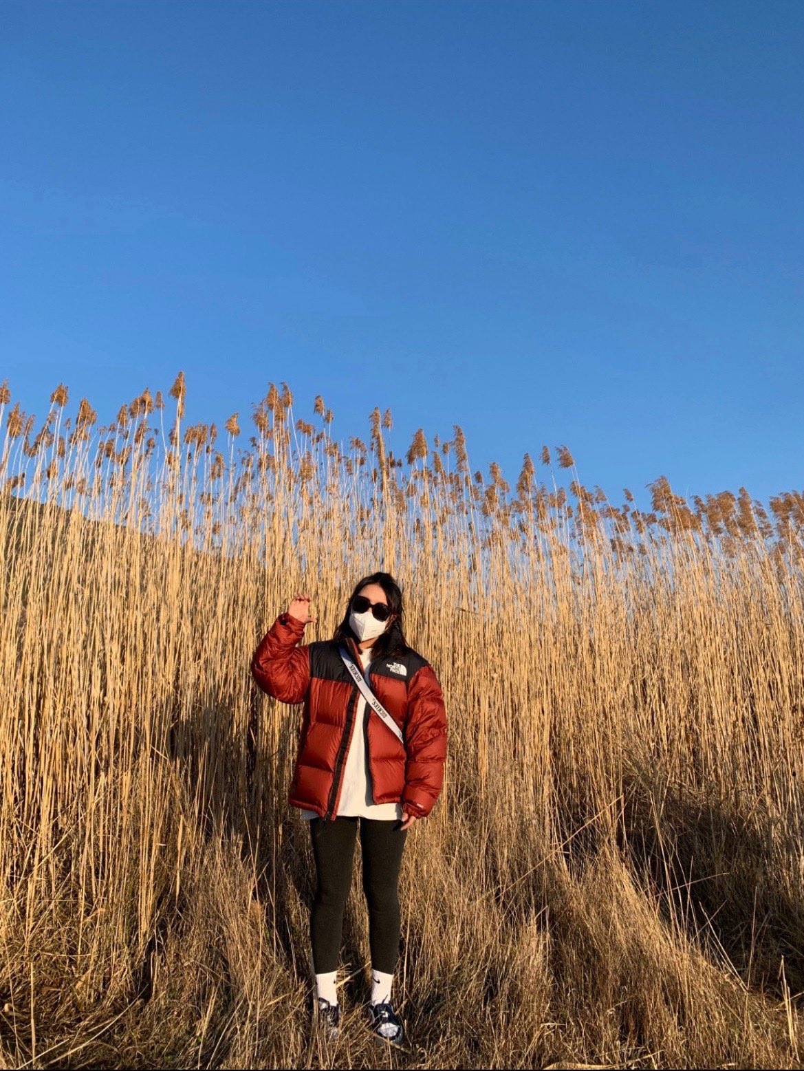 ザ・ノース・フェイス  ダウンジャケット  1996 Eco Nuptse Jacket ダウンジャケット 11色兼用 男女兼用 レディース メンズ