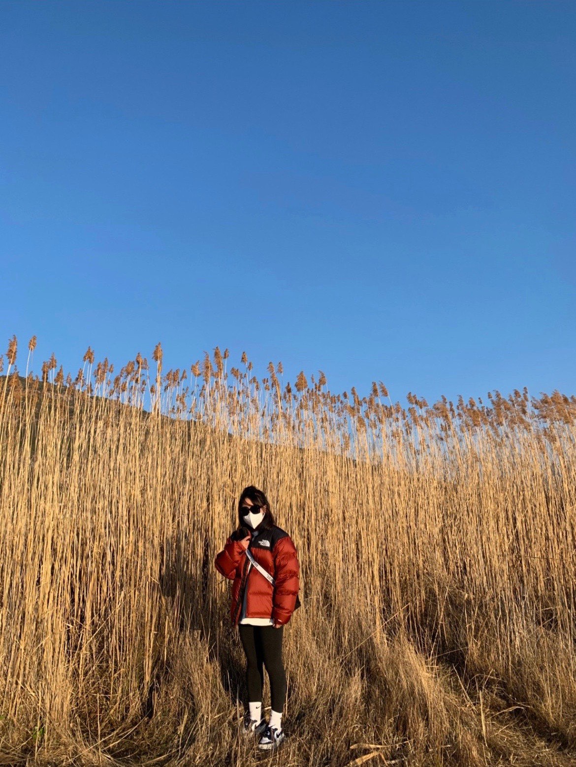 ザ・ノース・フェイス  ダウンジャケット  1996 Eco Nuptse Jacket ダウンジャケット 11色兼用 男女兼用 レディース メンズ