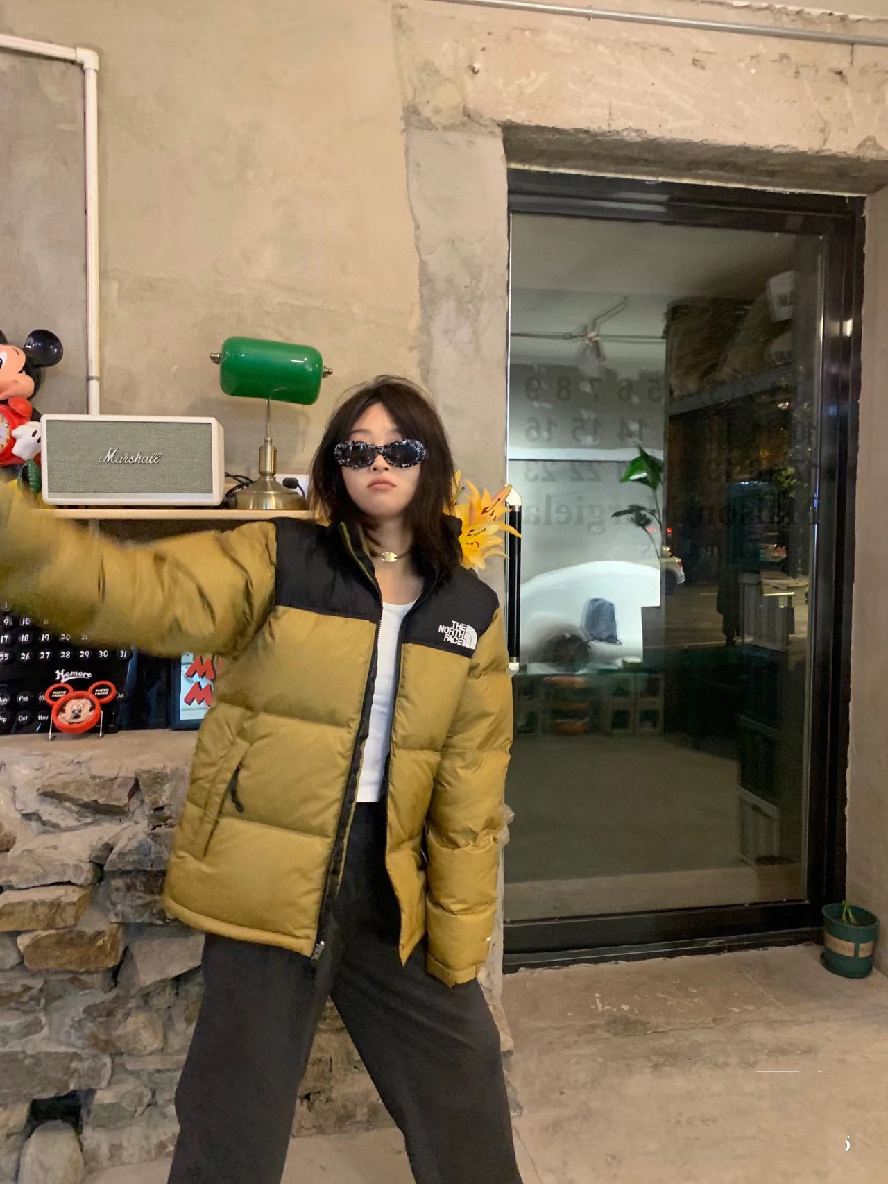 ザ・ノース・フェイス  ダウンジャケット  1996 Eco Nuptse Jacket ダウンジャケット 11色兼用 男女兼用 レディース メンズ