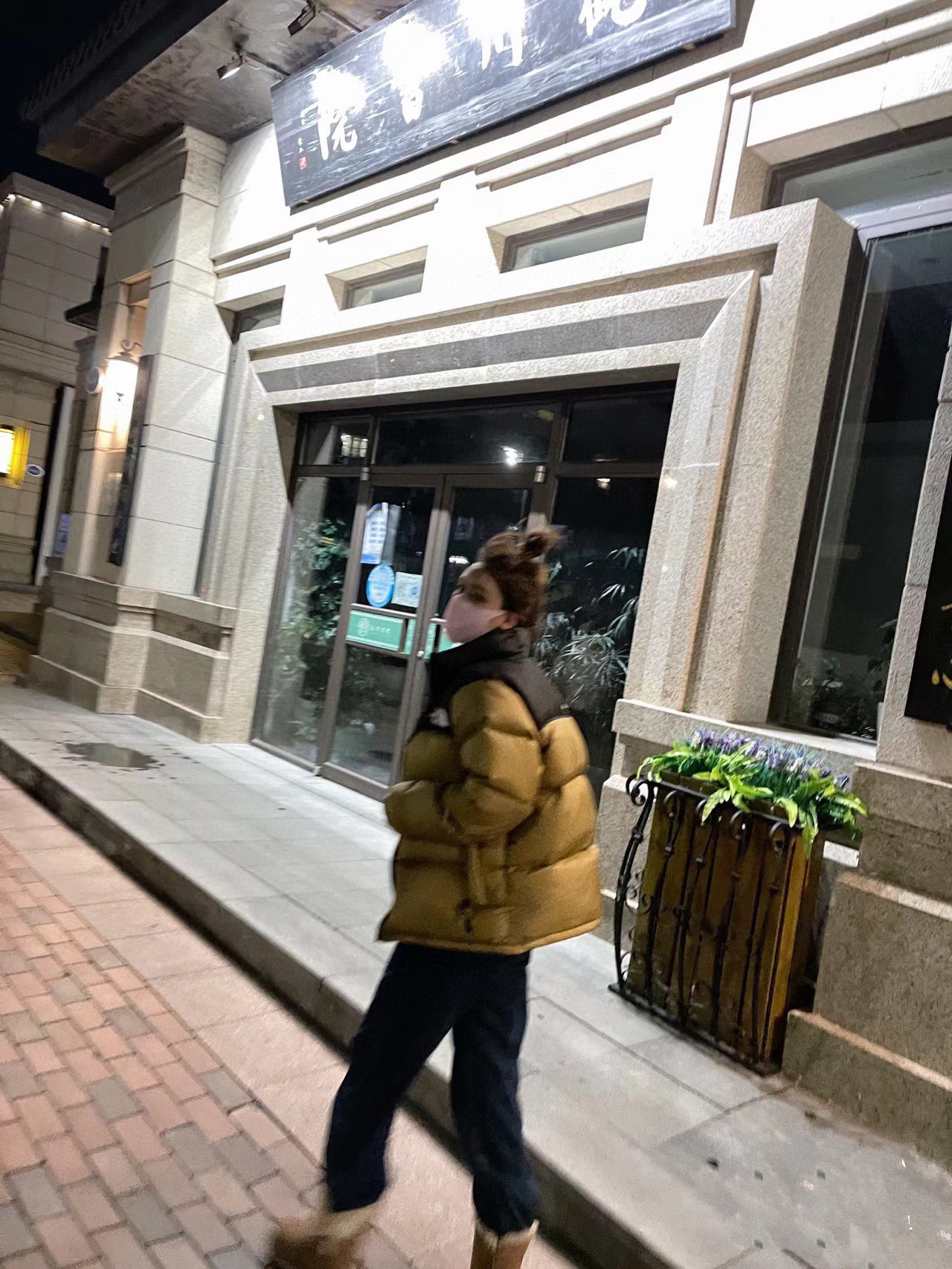 ザ・ノース・フェイス  ダウンジャケット  1996 Eco Nuptse Jacket ダウンジャケット 11色兼用 男女兼用 レディース メンズ