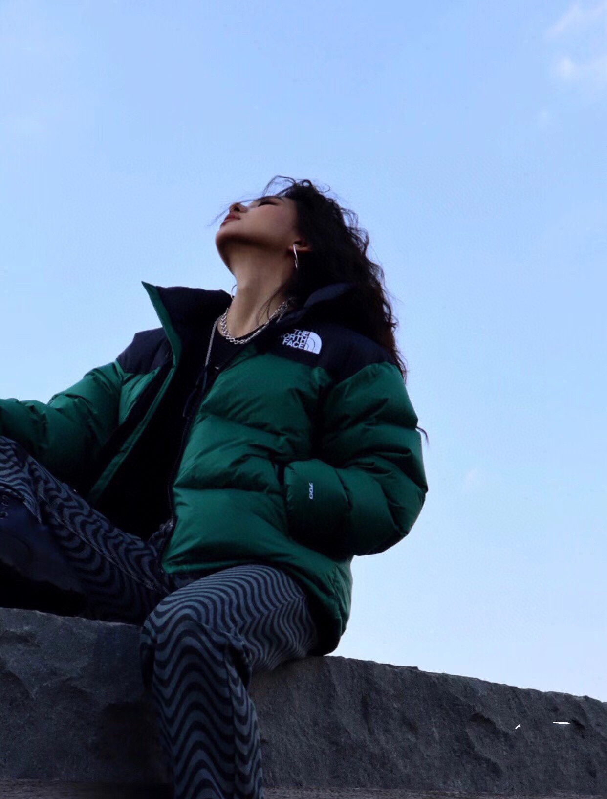 ザ・ノース・フェイス  ダウンジャケット  1996 Eco Nuptse Jacket ダウンジャケット 11色兼用 男女兼用 レディース メンズ