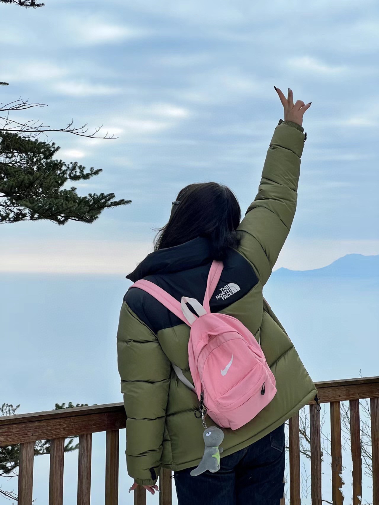 ザ・ノース・フェイス  ダウンジャケット  1996 Eco Nuptse Jacket ダウンジャケット 11色兼用 男女兼用 レディース メンズ