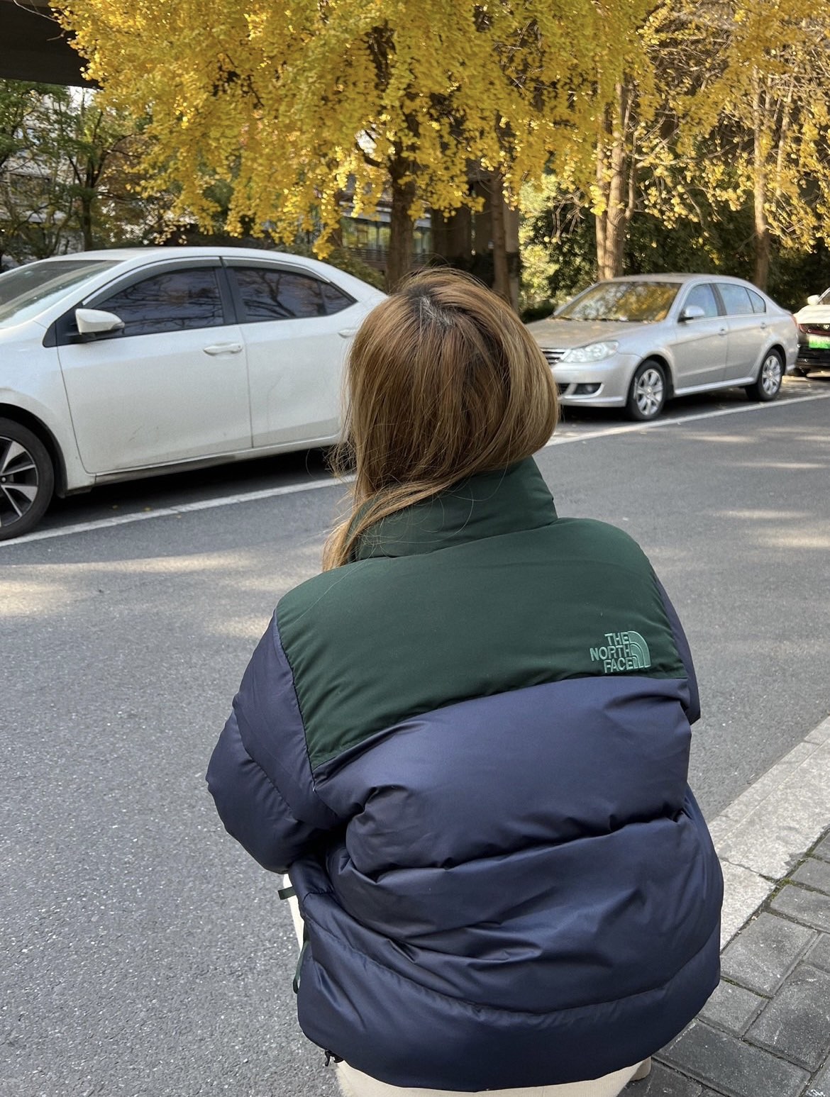 ザ・ノース・フェイス  ダウンジャケット  1996 Eco Nuptse Jacket ダウンジャケット 14色兼用 男女兼用 レディース メンズ