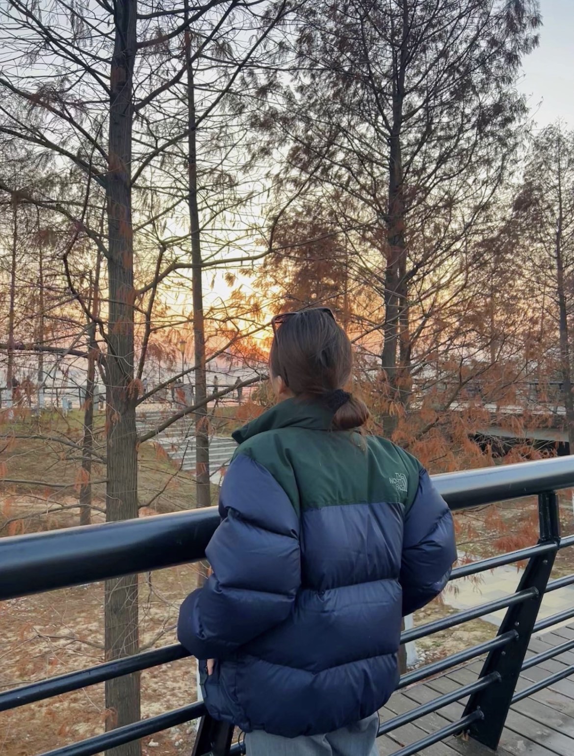 ザ・ノース・フェイス  ダウンジャケット  1996 Eco Nuptse Jacket ダウンジャケット 14色兼用 男女兼用 レディース メンズ