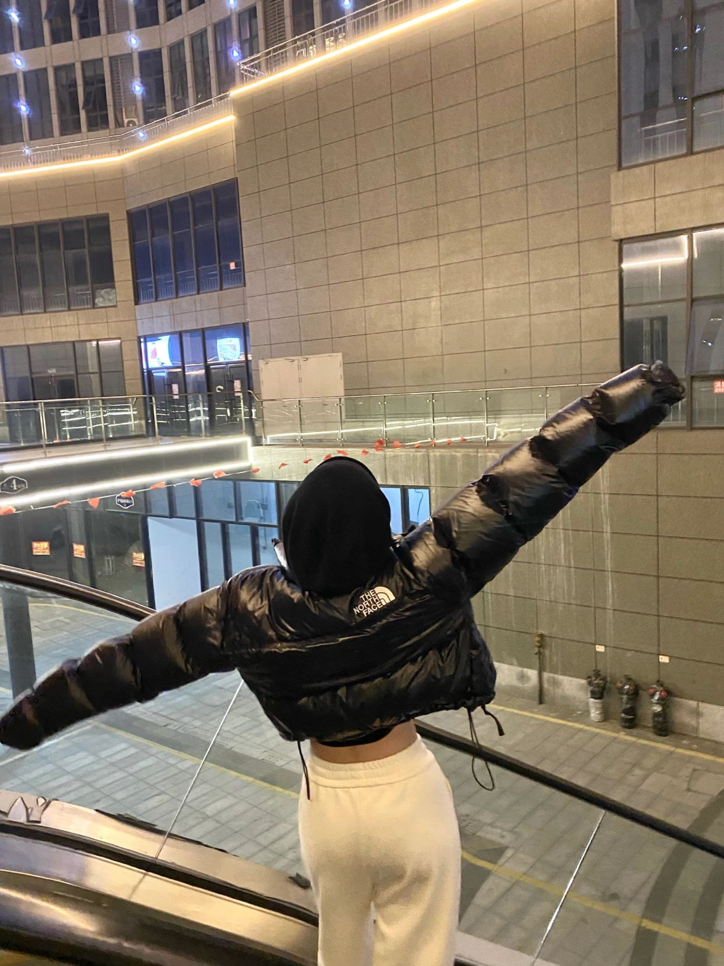 ザ・ノース・フェイス Jacket Down Jacket 3色兼用 レディース ヌプシ ジャケット コート ダウン ダウンジャケット ケンダル・ジェンナー Kendall Jenner
