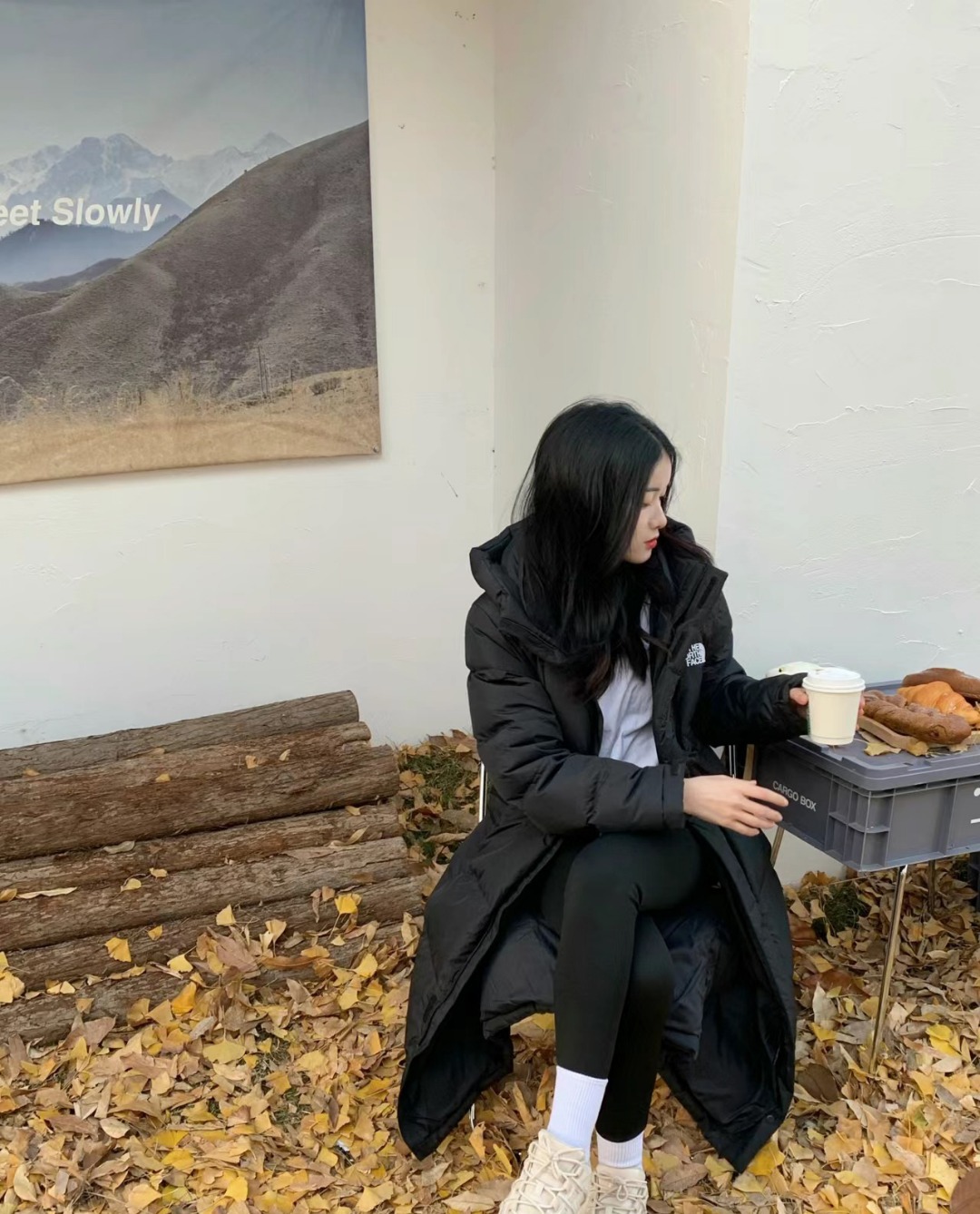 ザ・ノース・フェイス Down Jacket Go Free Wl Down Coat Nc1dp51 ダウンジャケット ロングパディング 2色兼用 男女兼用 レディース メンズ