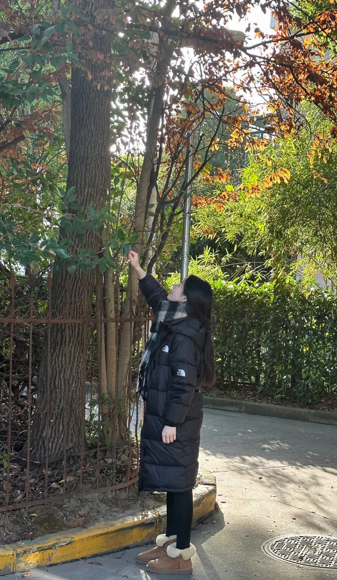 ザ・ノース・フェイス Down Jacket Go Free Wl Down Coat Nc1dp51 ダウンジャケット ロングパディング 2色兼用 男女兼用 レディース メンズ