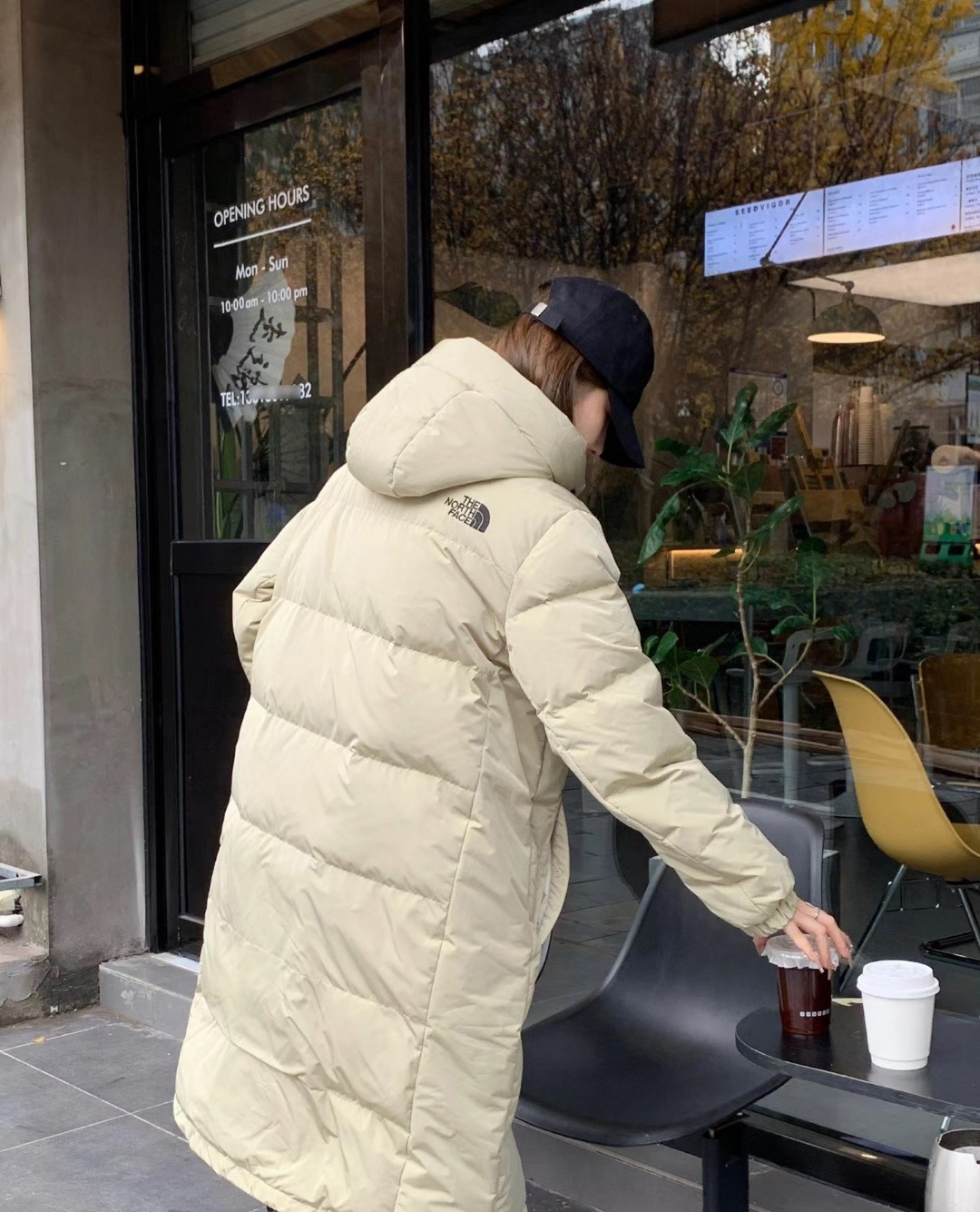 ザ・ノース・フェイス Down Jacket Go Free Wl Down Coat Nc1dp51 ダウンジャケット ロングパディング 2色兼用 男女兼用 レディース メンズ