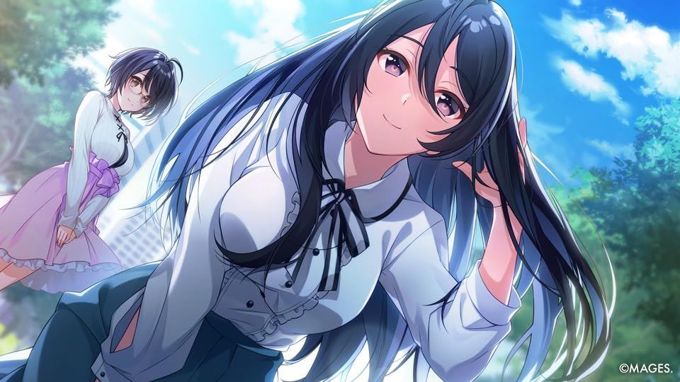 SINce Memories: Off the Starry Sky Nintendo Switch Game