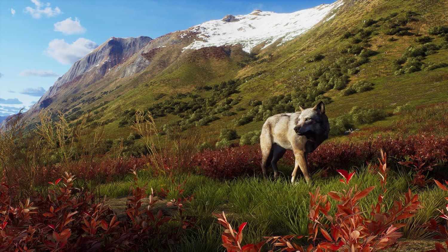 Way of the Hunter - Wild Expeditions Xbox Series X Game