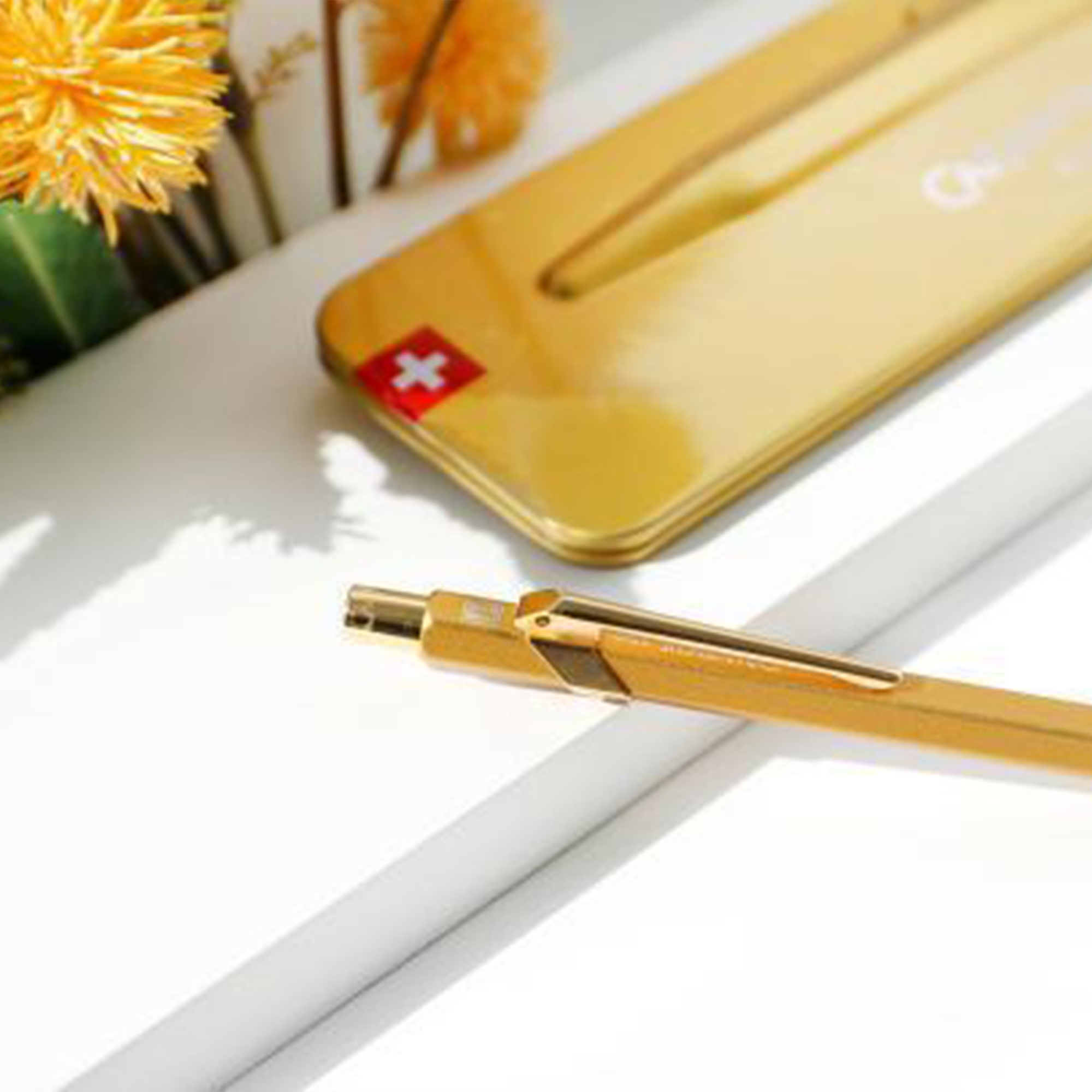 Caran d'Ache 849 Premium