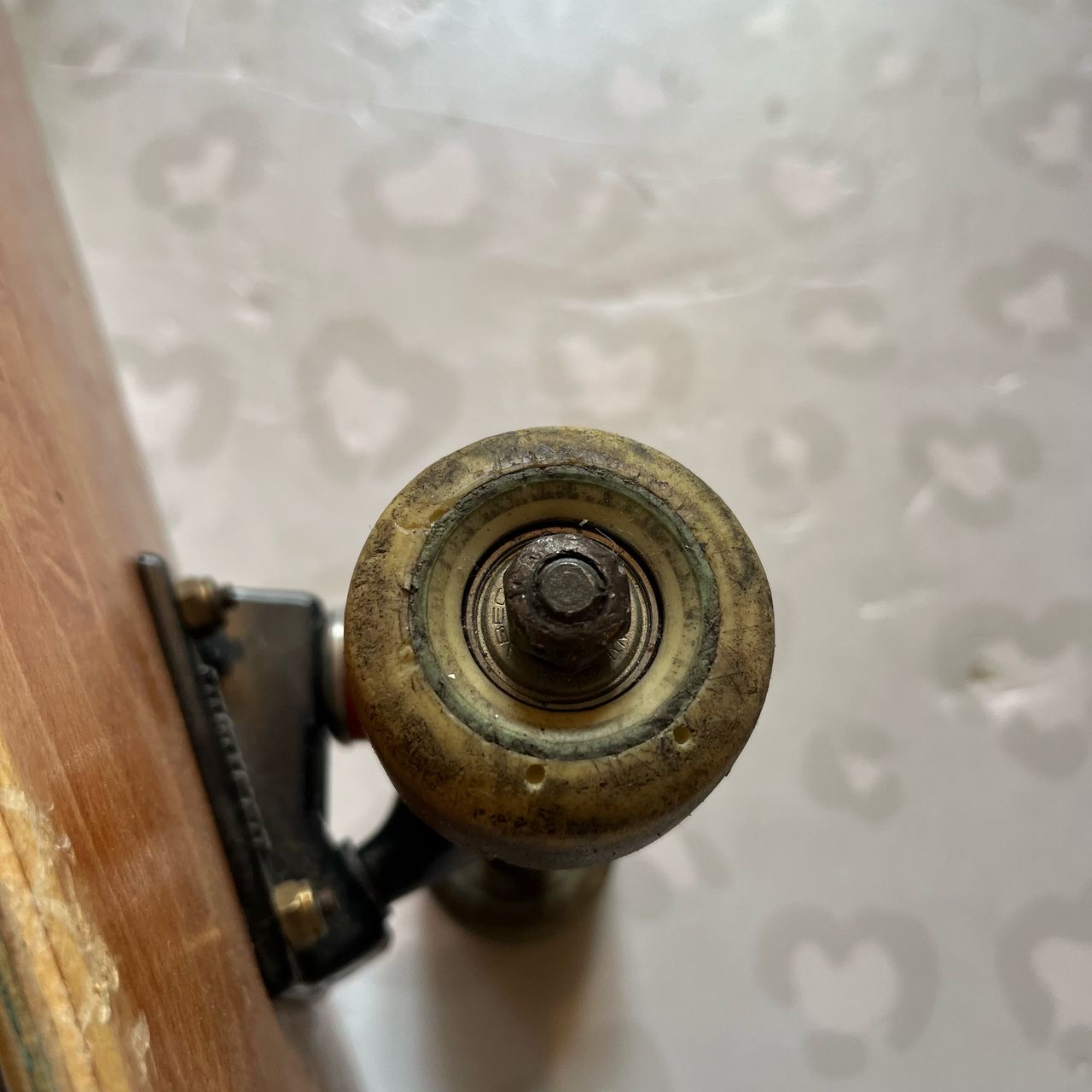 BLANK - 8.0" Brown Complete Skateboard (USED)