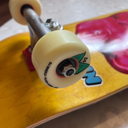 REAL - Hermann Fun Bear (8.25") Complete Skateboard (OJ Wheels Promo!)