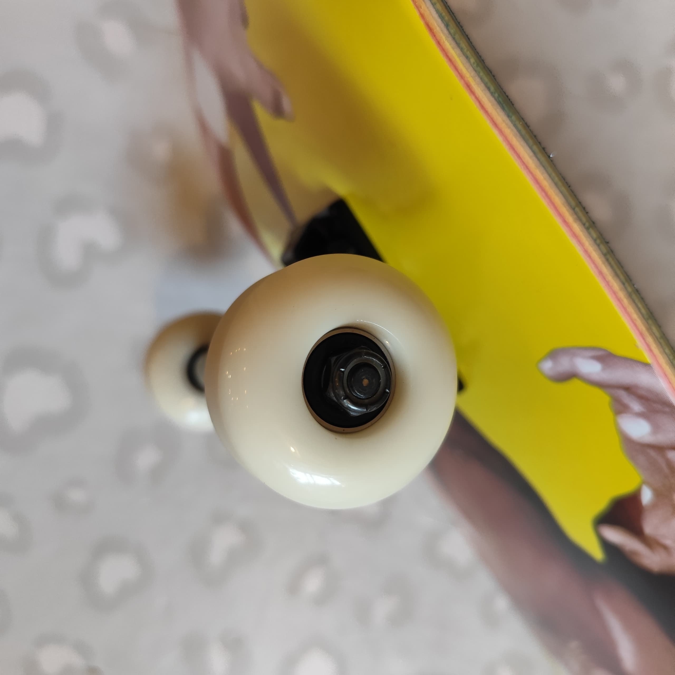 ENJOI - Round 3 Haslam 8.0" Complete Skateboard (Tensor Promo)