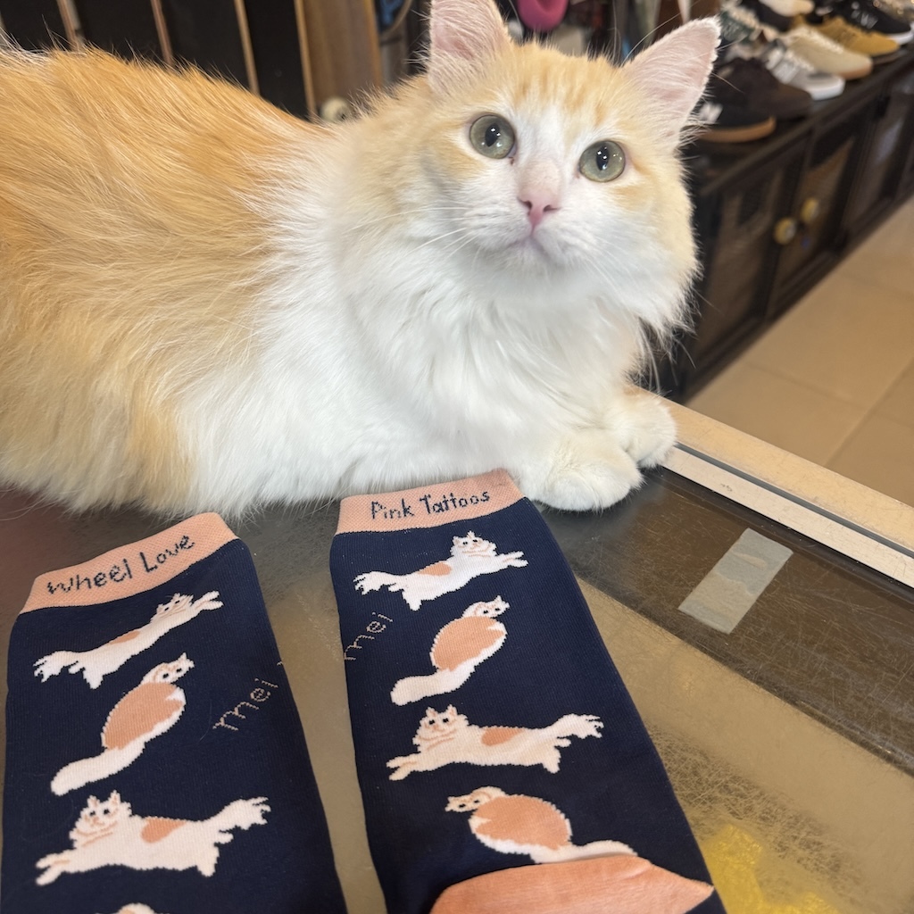 WHEEL LOVE - Mei Mei Pro Socks (Collabo With Pink Tattoos) 