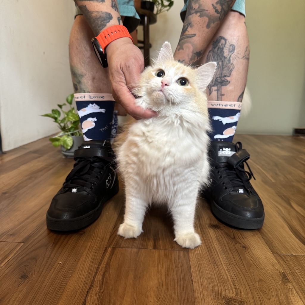 WHEEL LOVE - Mei Mei Pro Socks (Collabo With Pink Tattoos) 