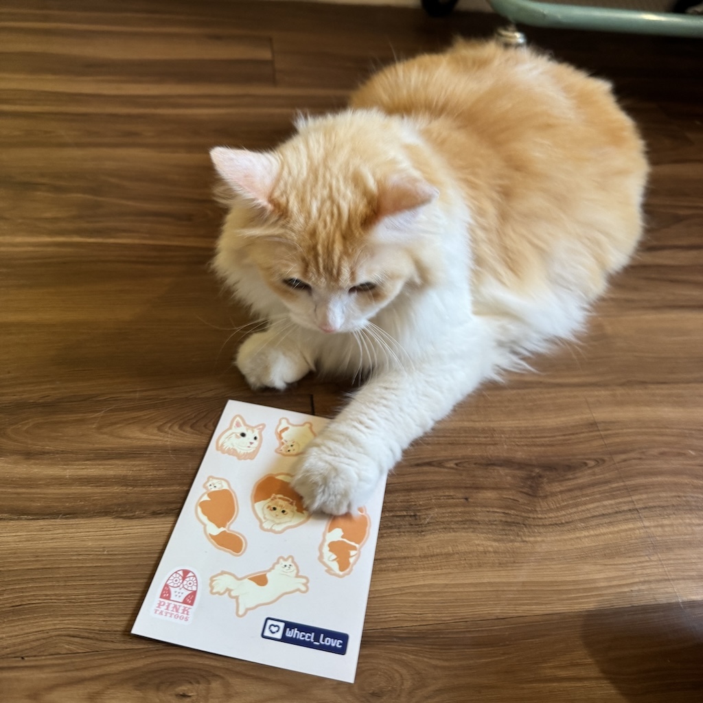 WHEEL LOVE - Mei Mei Pro Sticker Sheet (Collabo With Pink Tattoos)