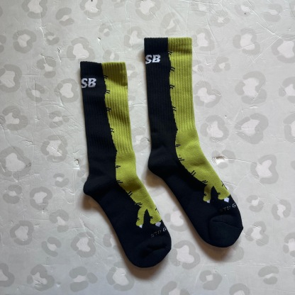 TKSB - Dino Feet Socks