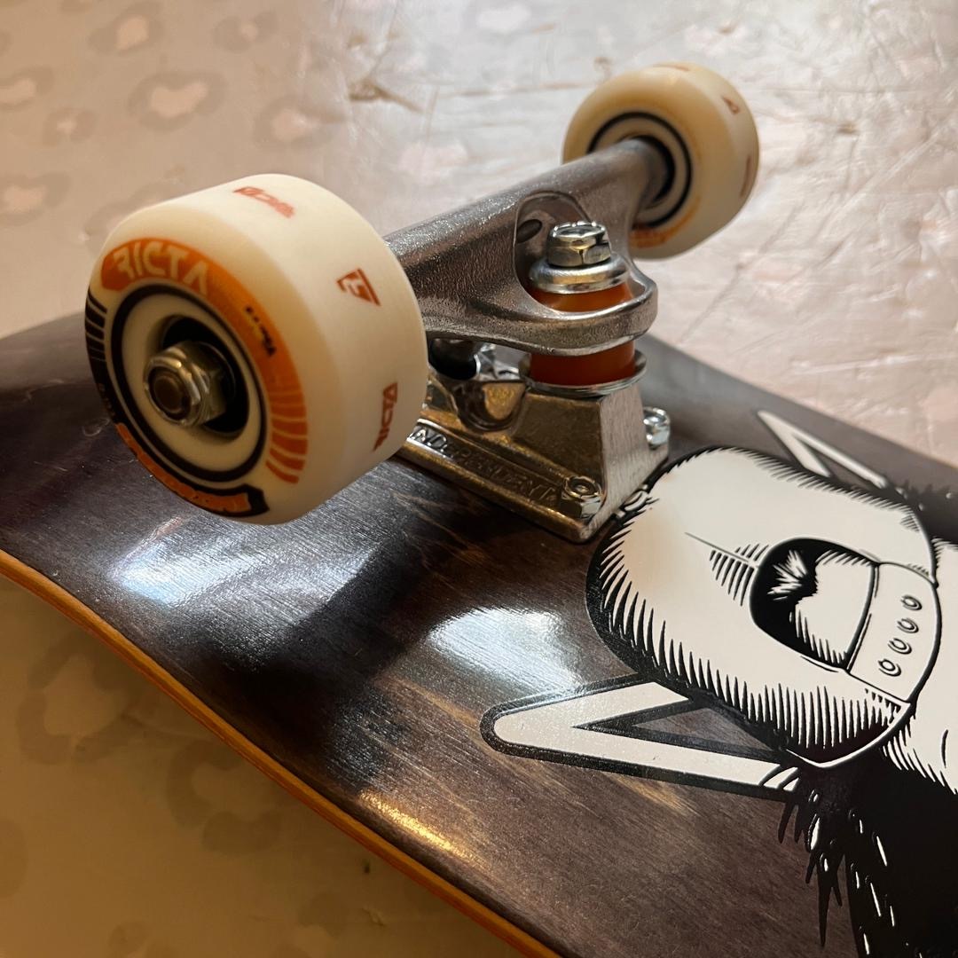 BIRDHOUSE - Hale Skull Dark 8.63" Complete Skateboard (Independent + Ricta Promo)