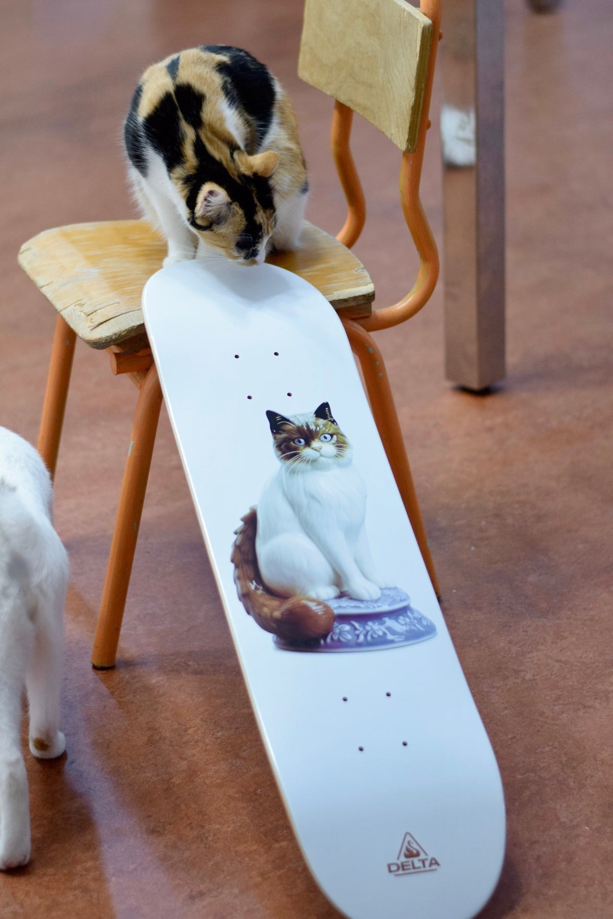 DELTA - Brown Grandma Cat 8.25" Skateboard Deck