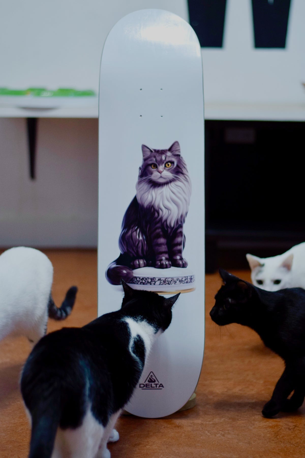 DELTA - Grey Grandma Cat (8.0" / 8.125") Skateboard Deck