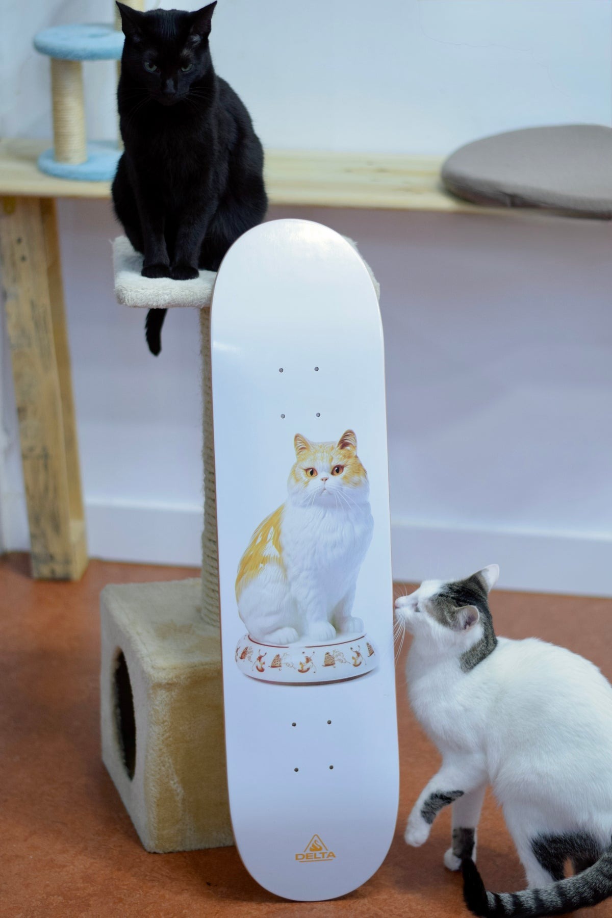 DELTA - Orange Grandma Cat 8.0" Skateboard Deck