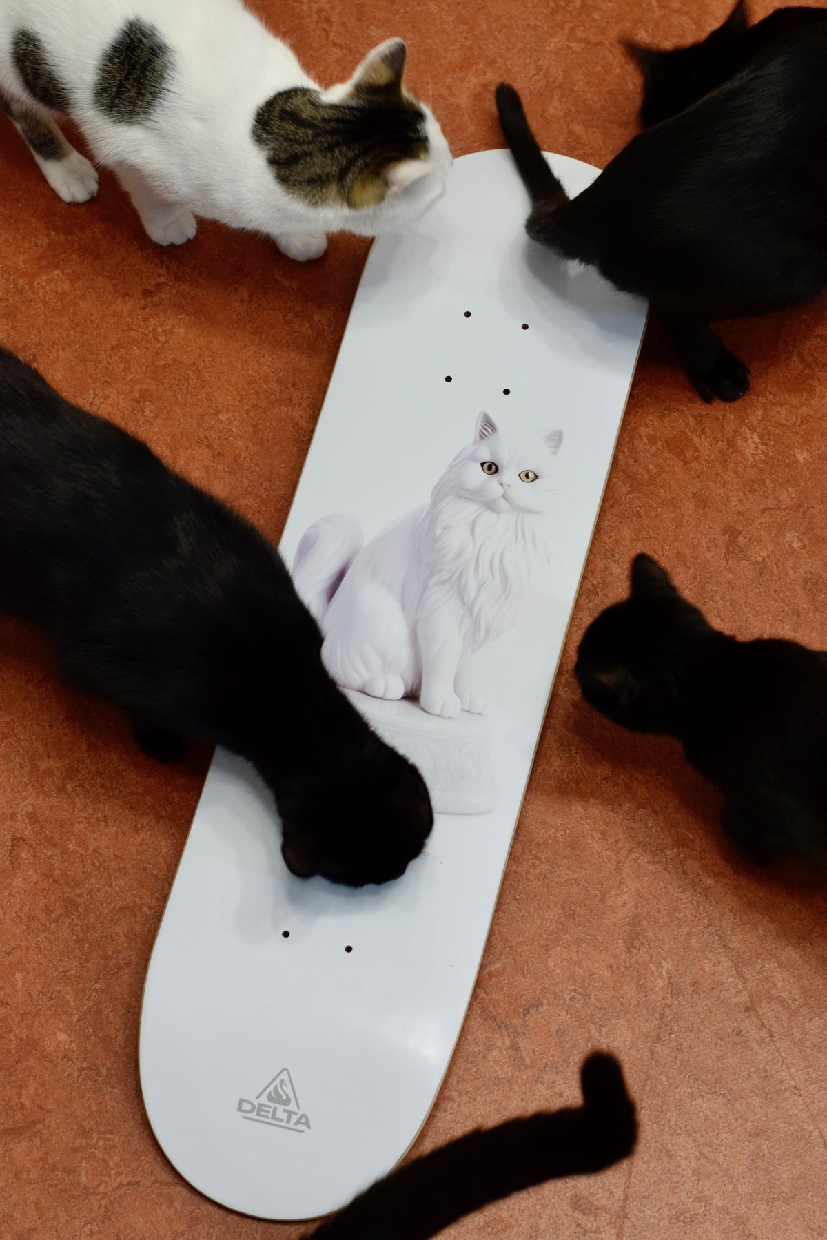 DELTA - White Grandma Cat 7.75" Skateboard Deck