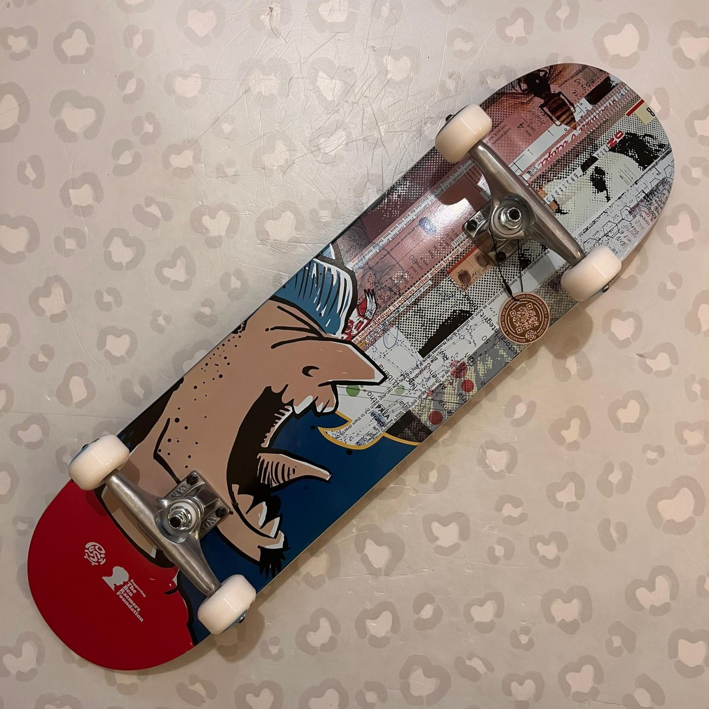 PUSH - Andy Jenkins BRF Teal 8.25" Complete Skateboard