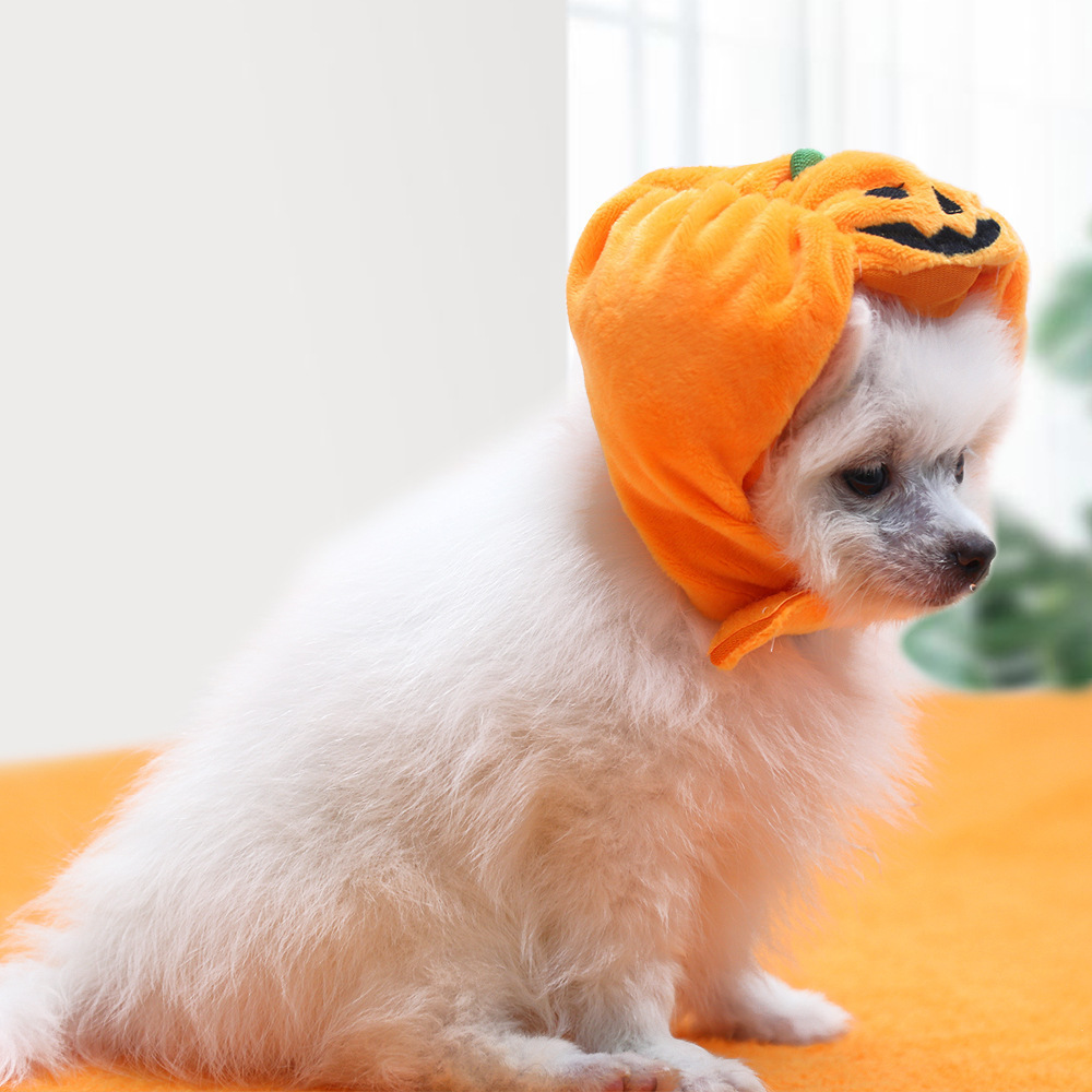 ハロウィン かぼちゃペット帽子｜犬・猫用かわいい仮装ハット ペットコスチューム ハロウィンアクセサリー お祝い・撮影に