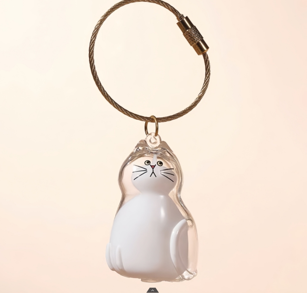 透明な猫の毛の記念品キーホルダーメモリアル収納ボックスペットの毛のための猫愛好家への感傷的な贈り物