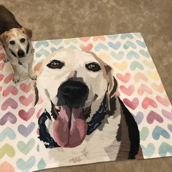 Custom Dog Blanket Personalized Pet Photo Blanket