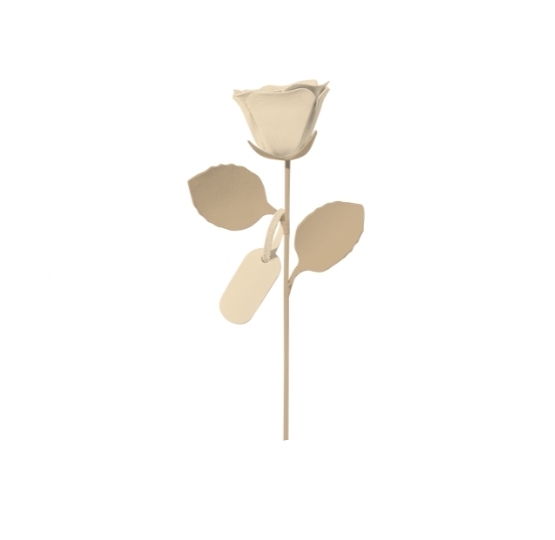 カスタムレザーローズ 名前入り 愛する人への永遠の贈り物