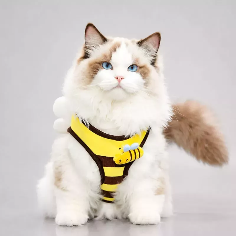 ミツバチ柄 ペット用ハーネス＆リードセット｜犬・猫用 胸当てハーネス お散歩リード付き 調節可能 小型犬・猫用