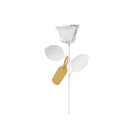 カスタムレザーローズ 名前入り 愛する人への永遠の贈り物