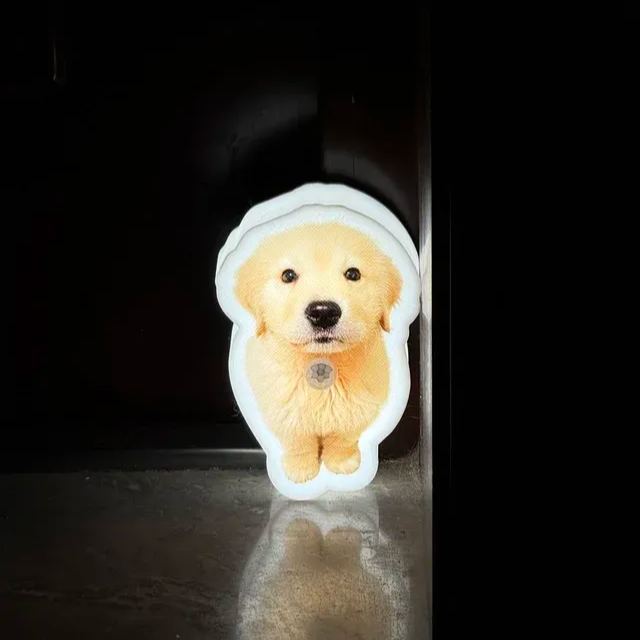 ペット愛好家のための,猫と犬のモーションセンサー付きパーソナライズウォールランプ,カスタムペット写真ナイトライト - 