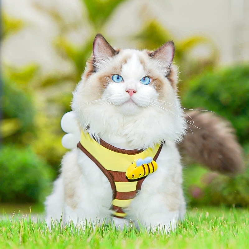 ミツバチ柄 ペット用ハーネス＆リードセット｜犬・猫用 胸当てハーネス お散歩リード付き 調節可能 小型犬・猫用
