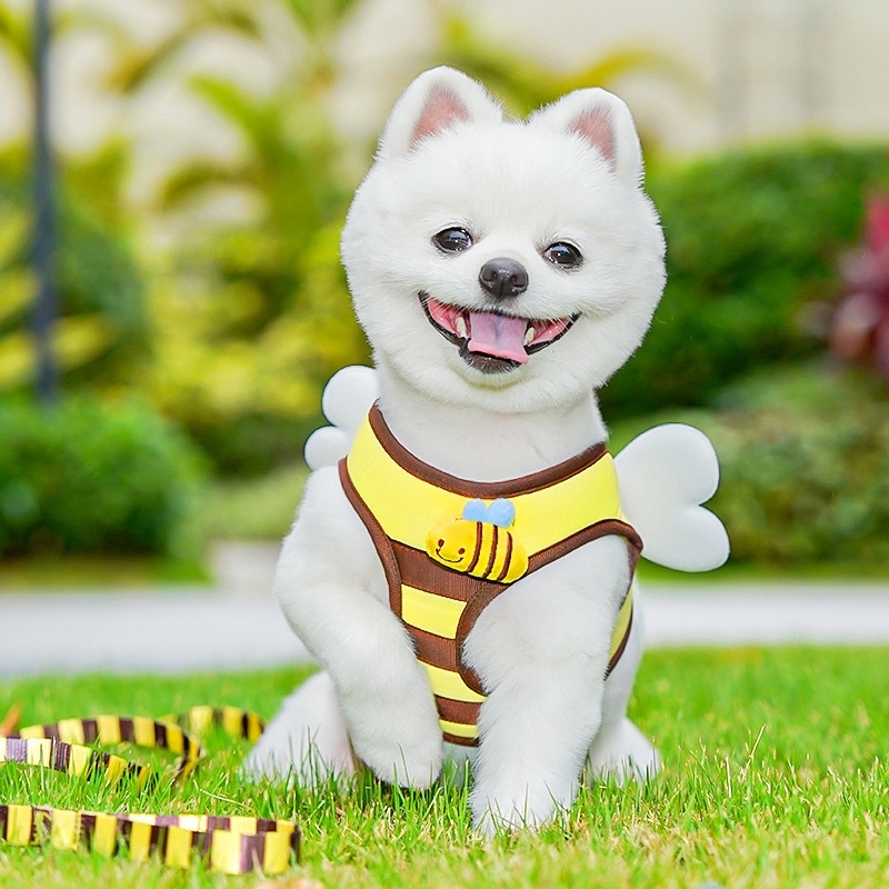 ミツバチ柄 ペット用ハーネス＆リードセット｜犬・猫用 胸当てハーネス お散歩リード付き 調節可能 小型犬・猫用